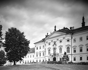 Obrázek
